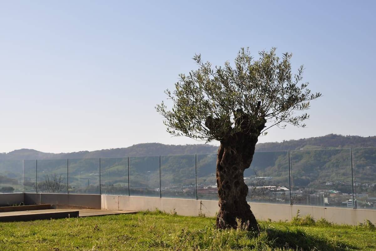 Piscina de UneOnak y su paisaje id�lico